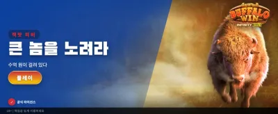 버팔로 윈: 거대한 승리를 쟁취하라